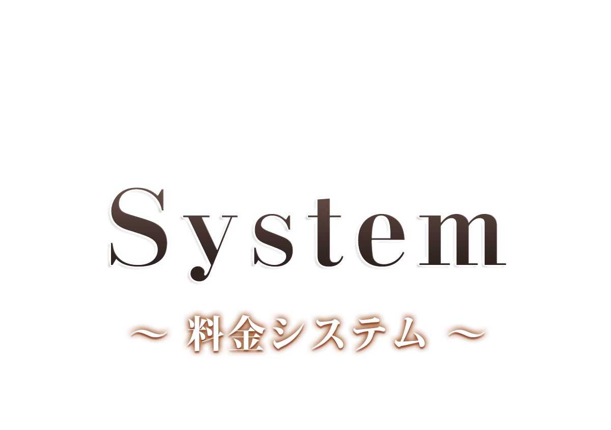 ヒリズ 料金システム